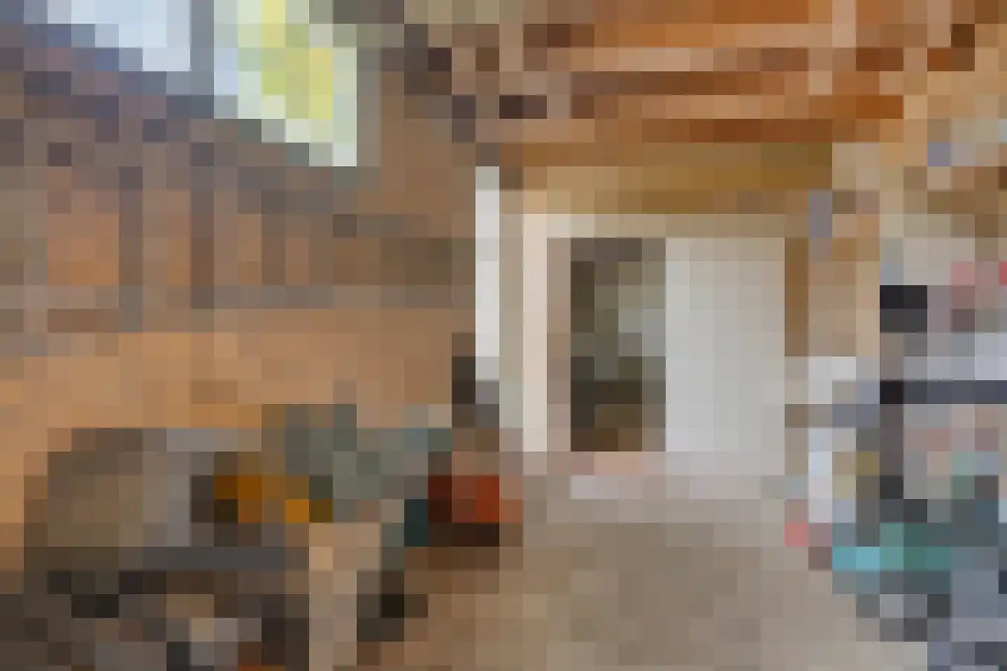Beukenlaan 15 Rhenen thumbnail 48