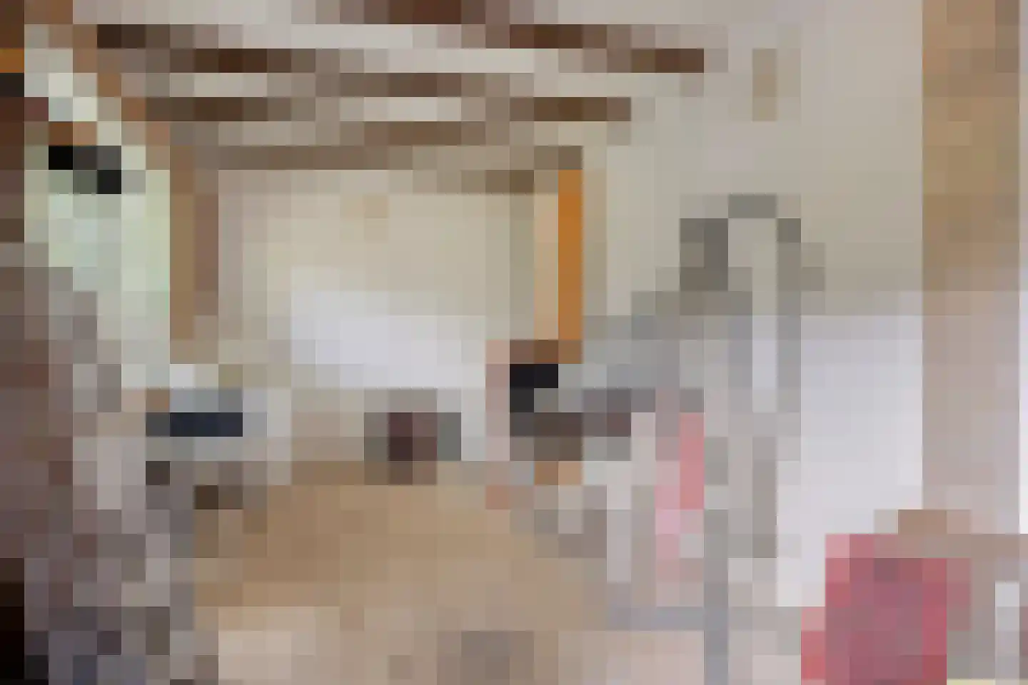 Beukenlaan 15 Rhenen thumbnail 49