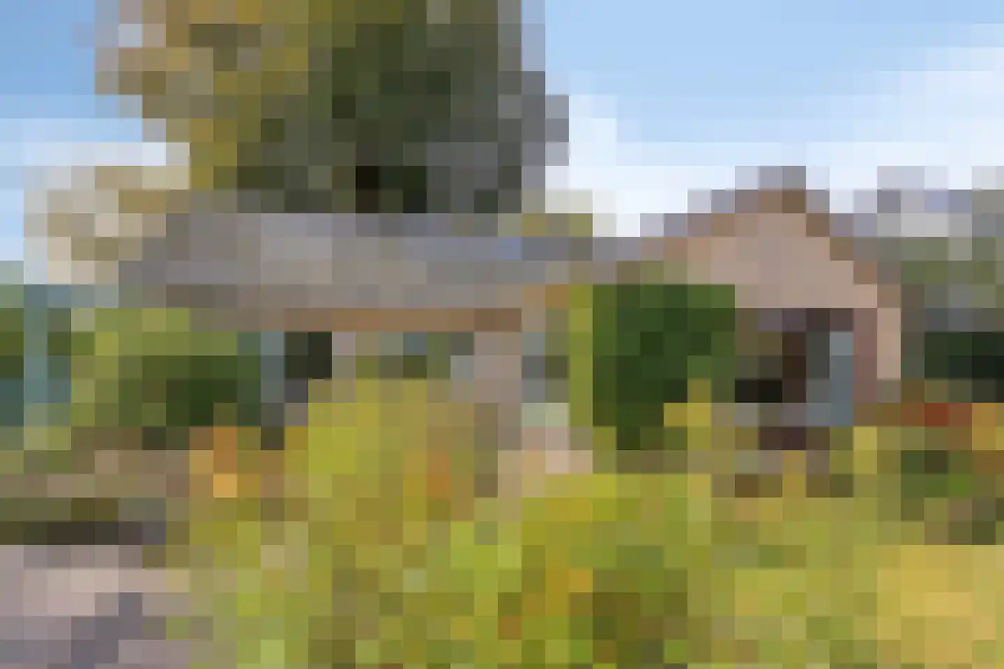 Beukenlaan 15 Rhenen thumbnail 5