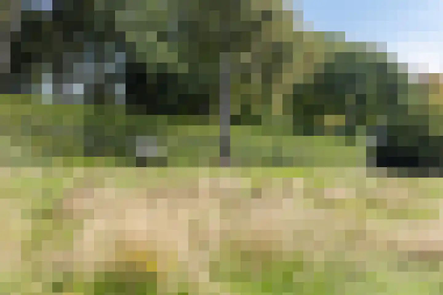 Beukenlaan 15 Rhenen thumbnail 51