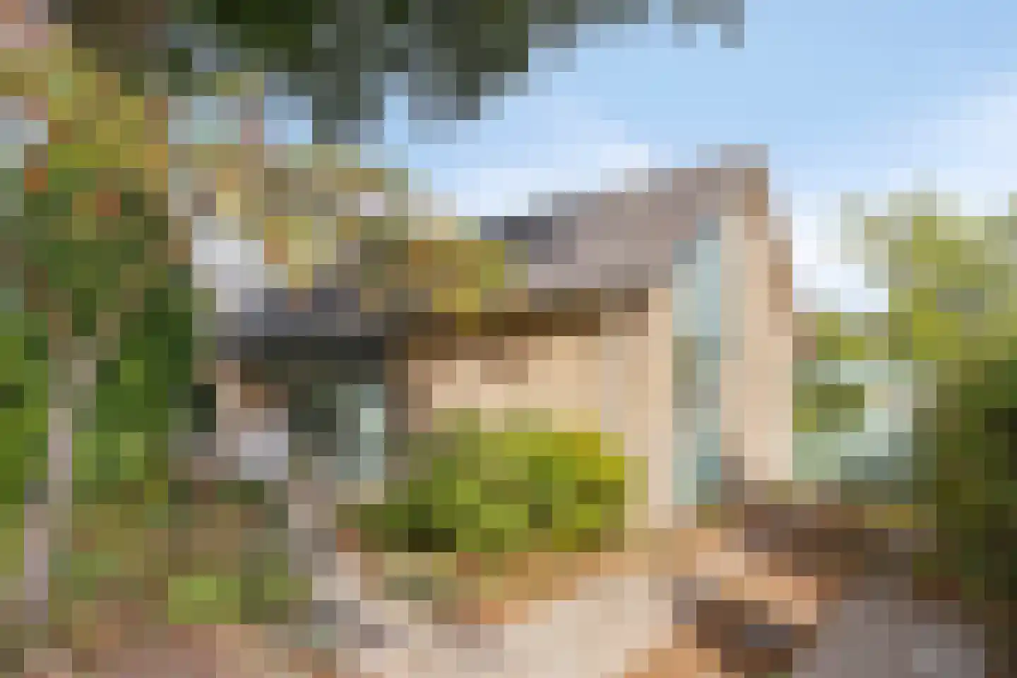 Beukenlaan 15 Rhenen thumbnail 54