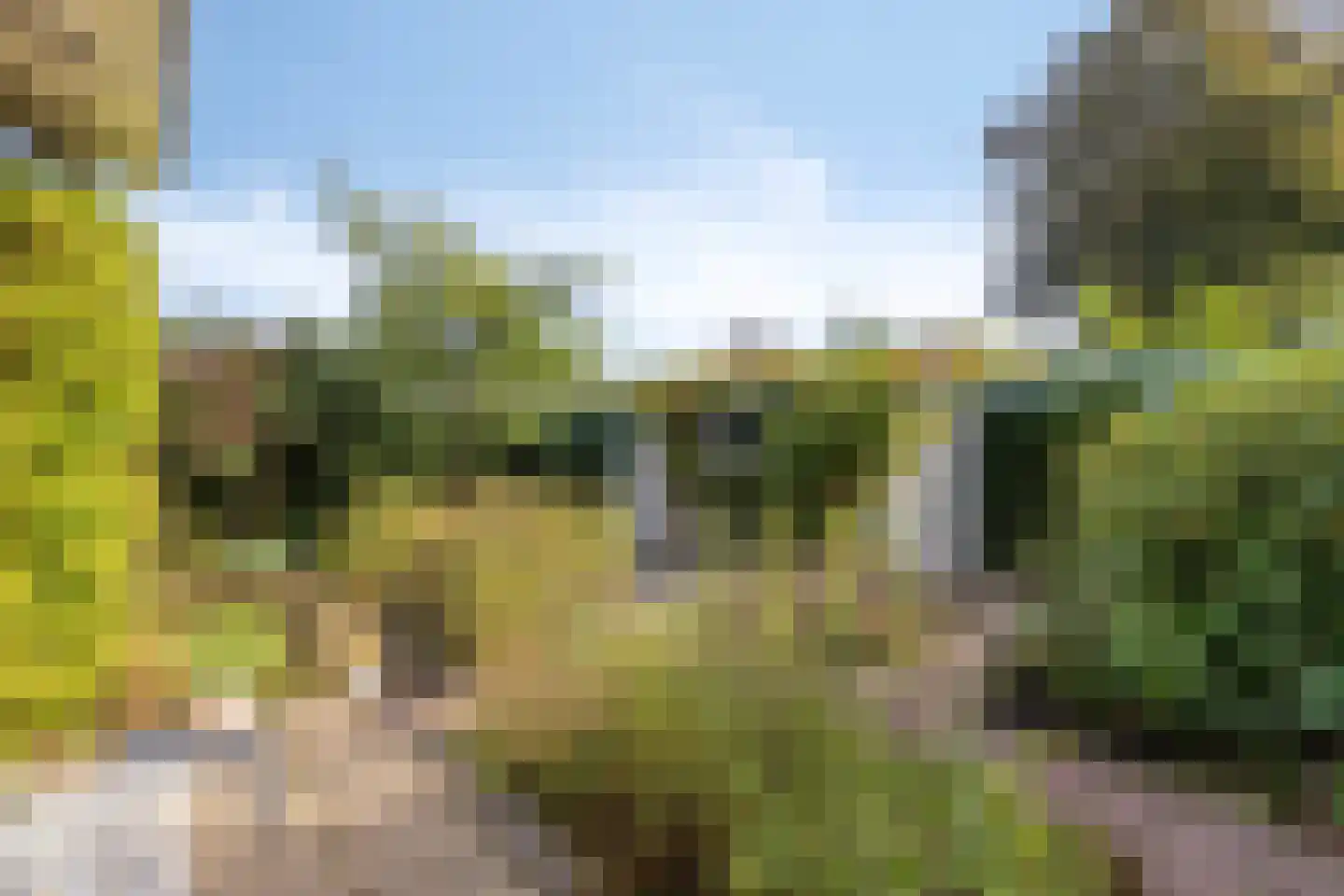 Beukenlaan 15 Rhenen thumbnail 6