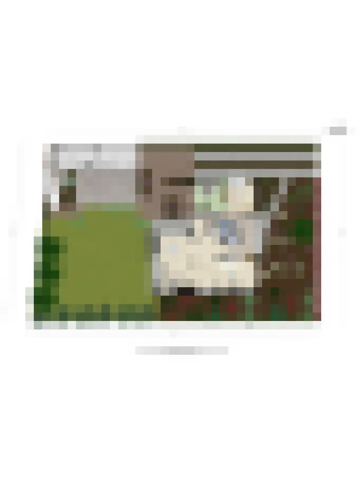 Beukenlaan 15 Rhenen thumbnail 60