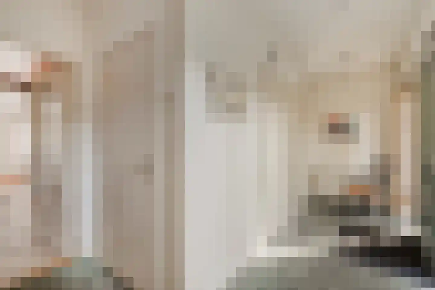 Beukenlaan 15 Rhenen thumbnail 9