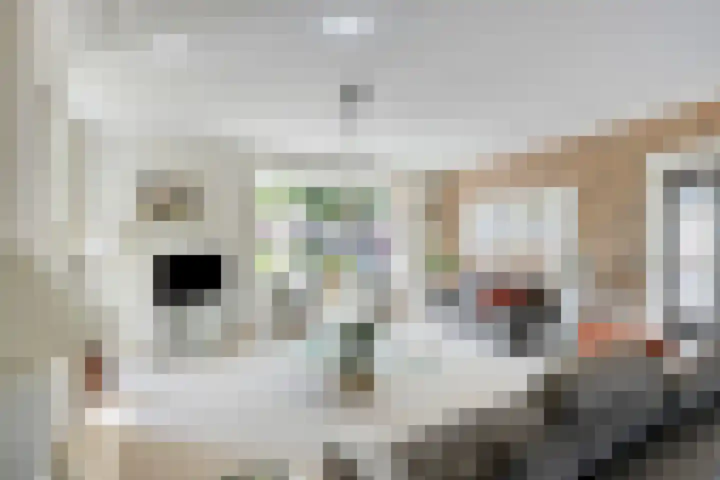 Beukenlaan 15 Scherpenzeel thumbnail 10