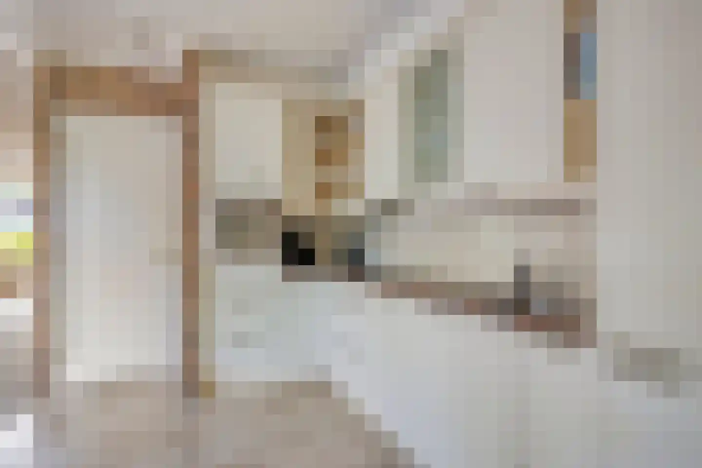 Beukenlaan 15 Scherpenzeel thumbnail 18