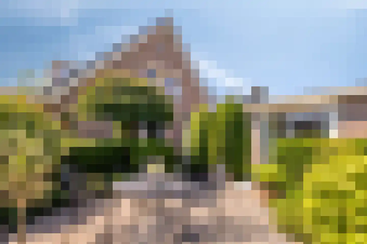 Beukenlaan 15 Scherpenzeel foto 2