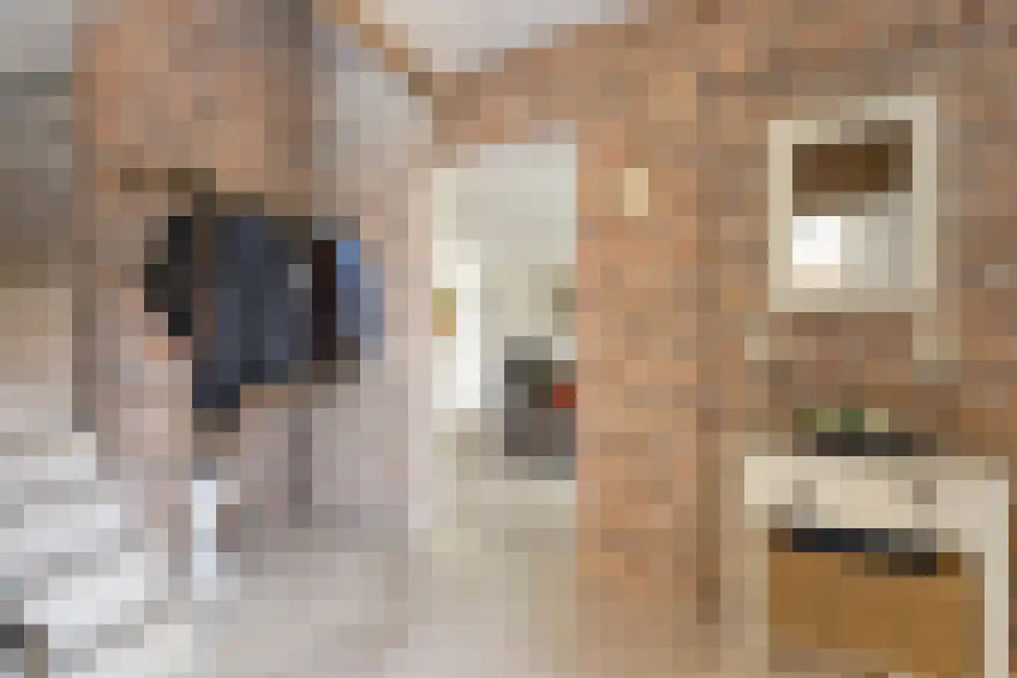 Beukenlaan 15 Scherpenzeel thumbnail 26