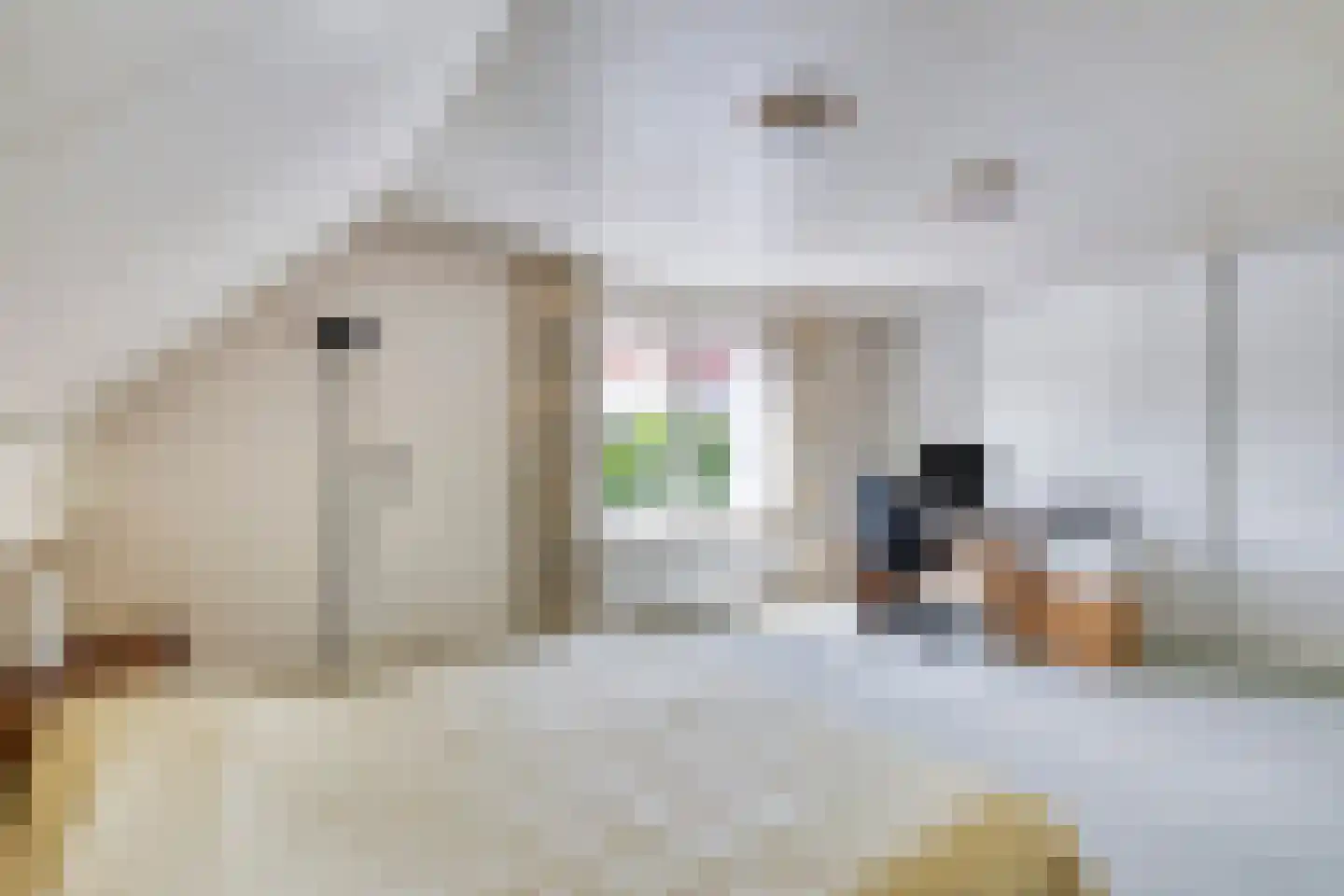 Beukenlaan 15 Scherpenzeel thumbnail 29