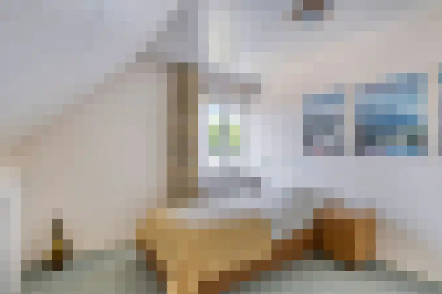 Beukenlaan 15 Scherpenzeel thumbnail 31