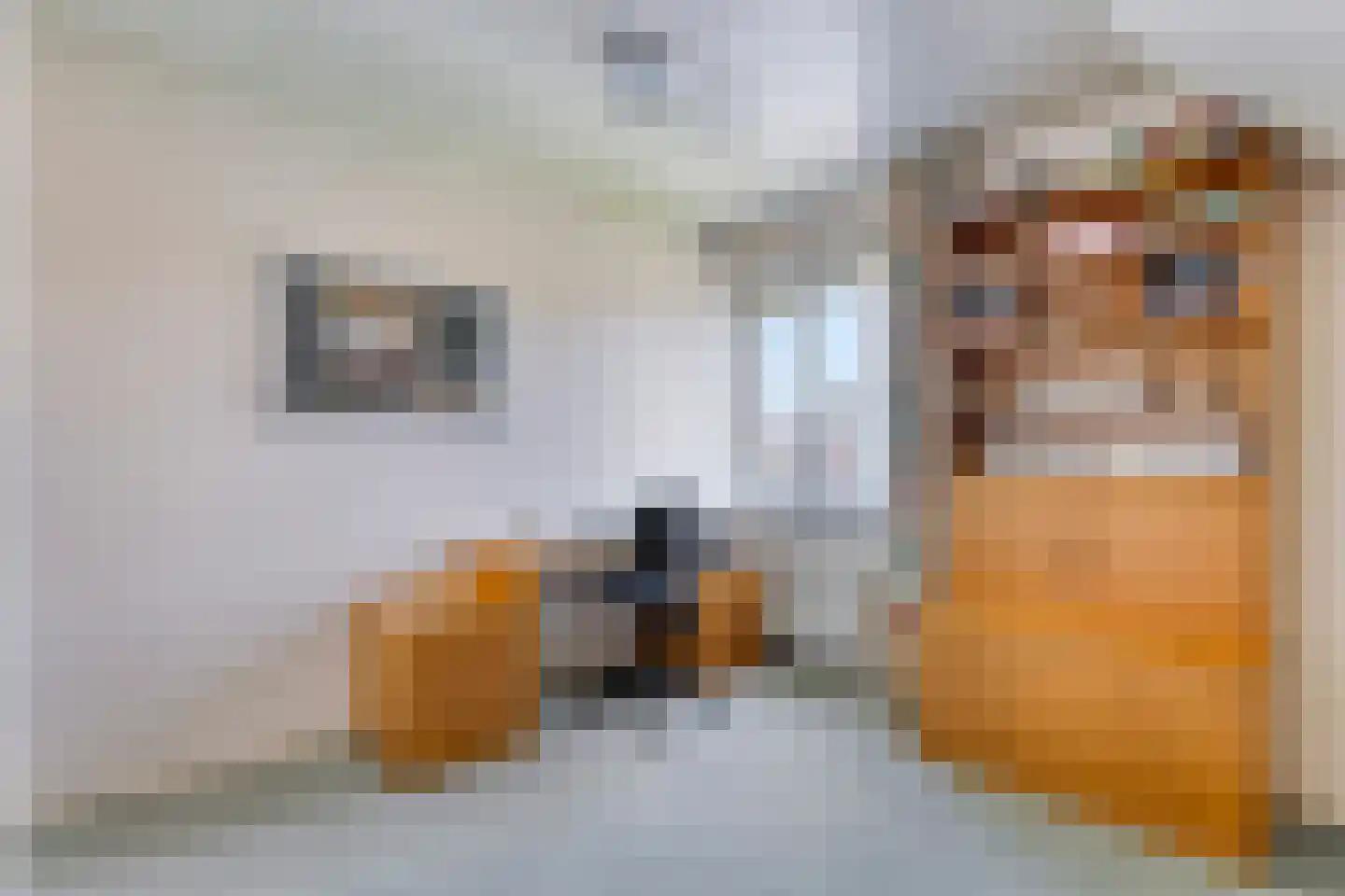 Beukenlaan 15 Scherpenzeel thumbnail 33