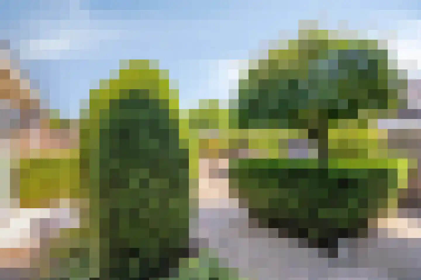 Beukenlaan 15 Scherpenzeel thumbnail 36