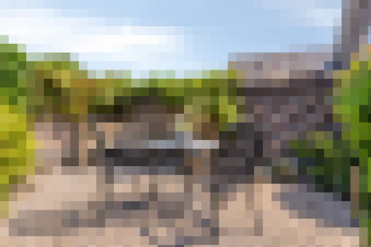 Beukenlaan 15 Scherpenzeel thumbnail 37