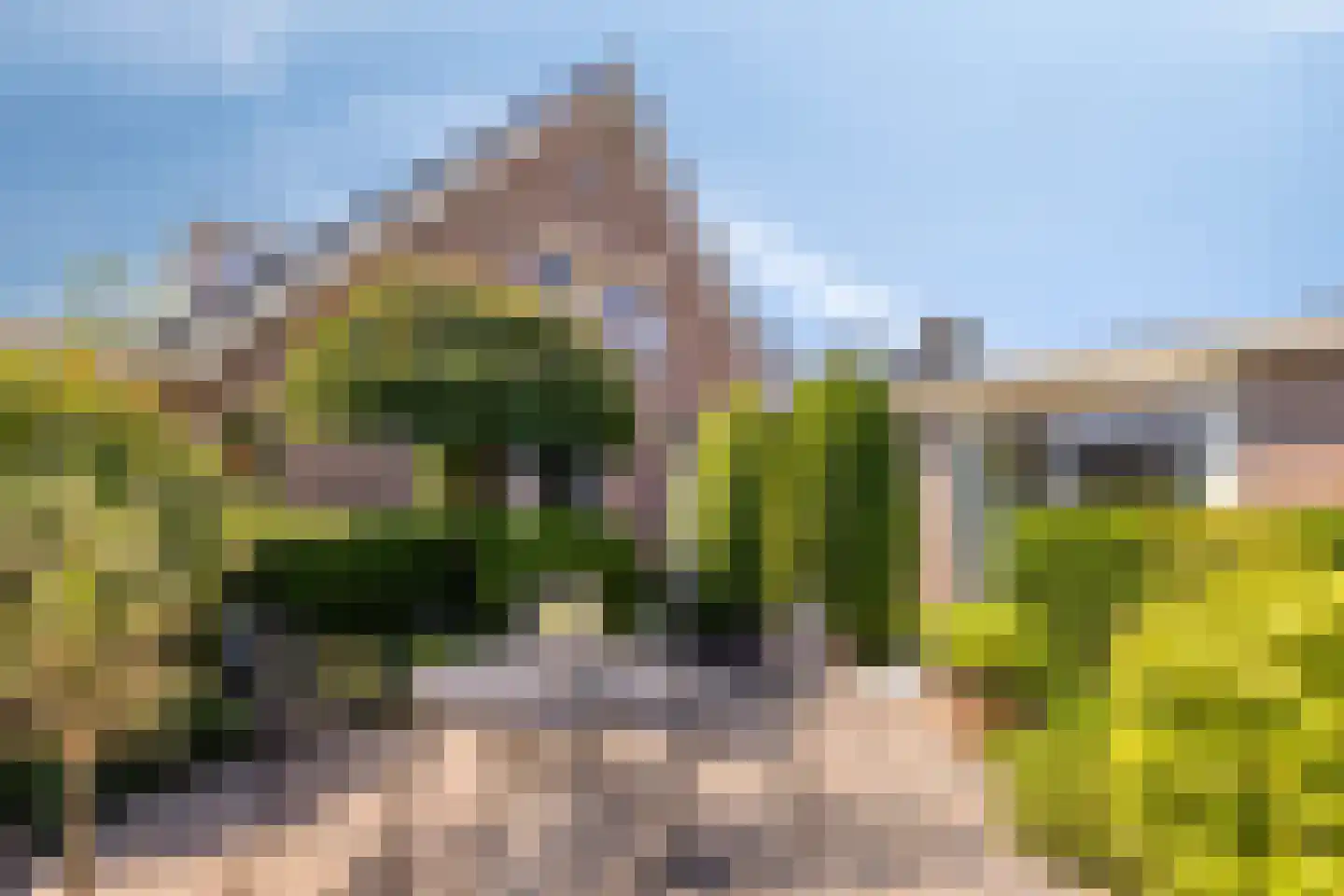 Beukenlaan 15 Scherpenzeel thumbnail 38