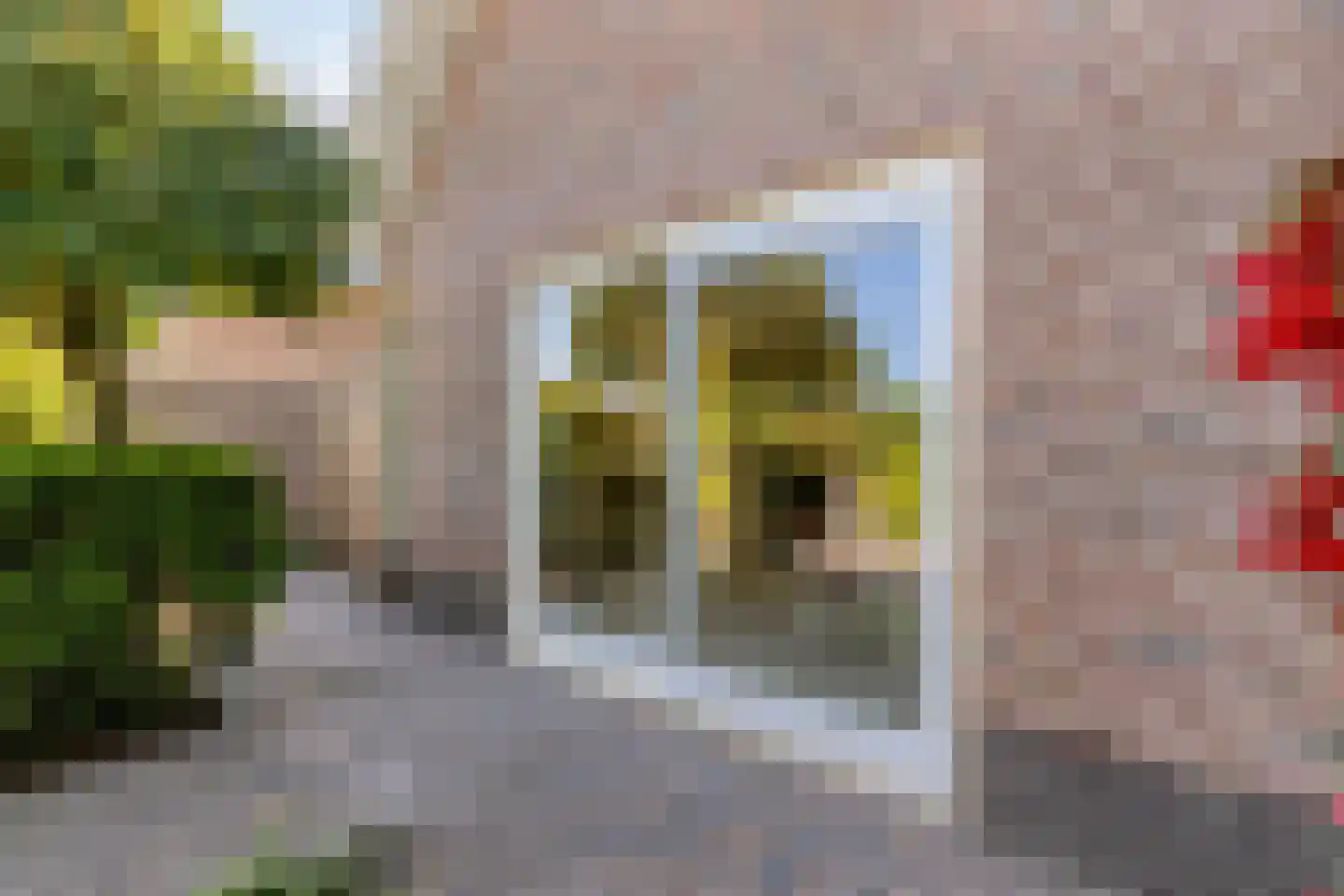 Beukenlaan 15 Scherpenzeel thumbnail 40