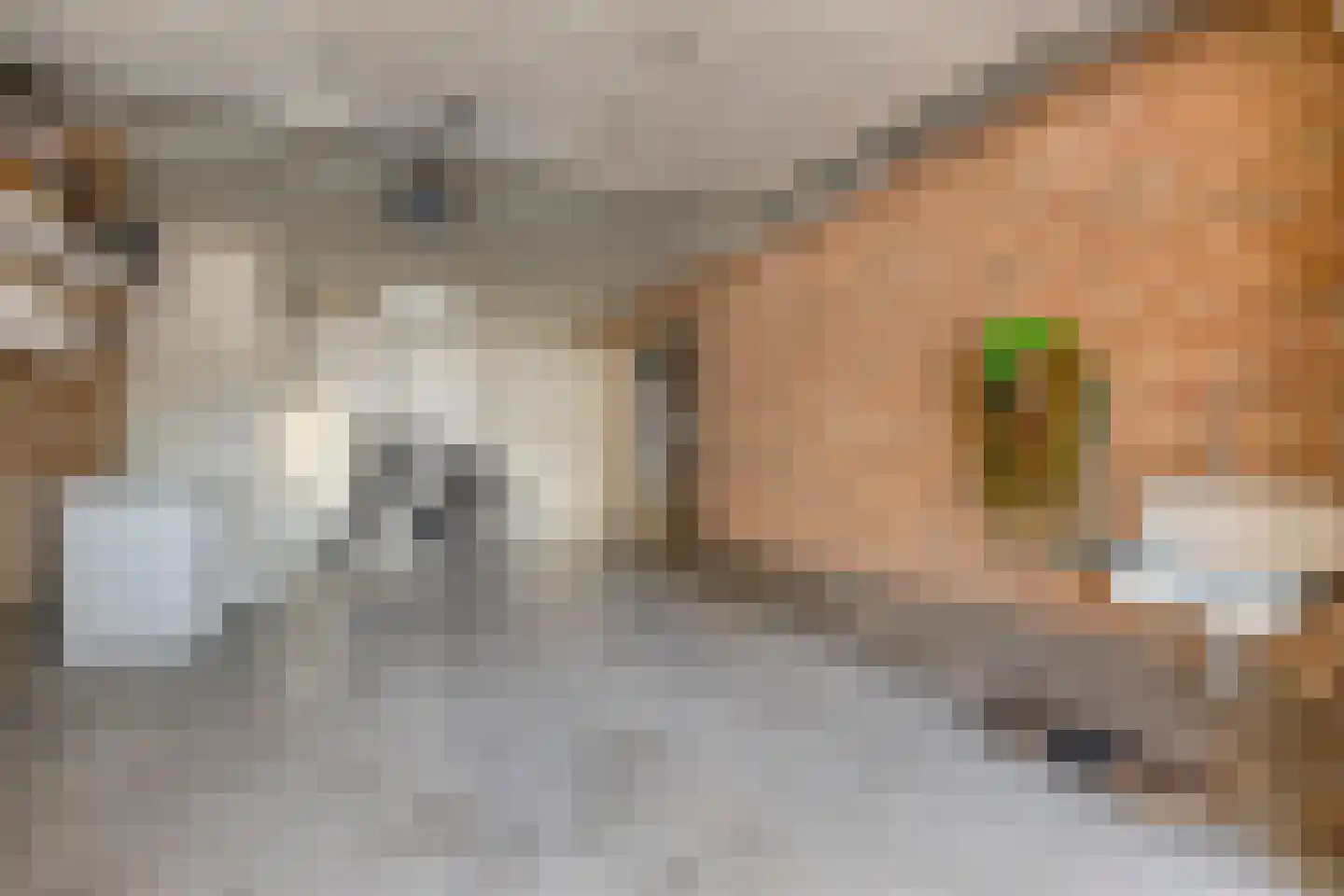 Beukenlaan 15 Scherpenzeel thumbnail 41