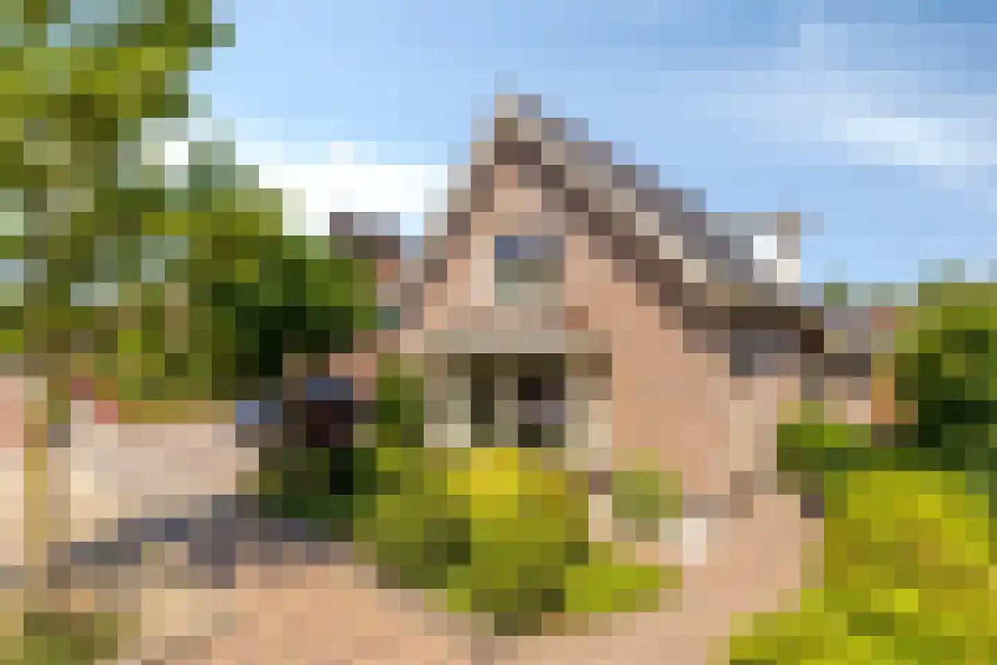Beukenlaan 15 Scherpenzeel thumbnail 44