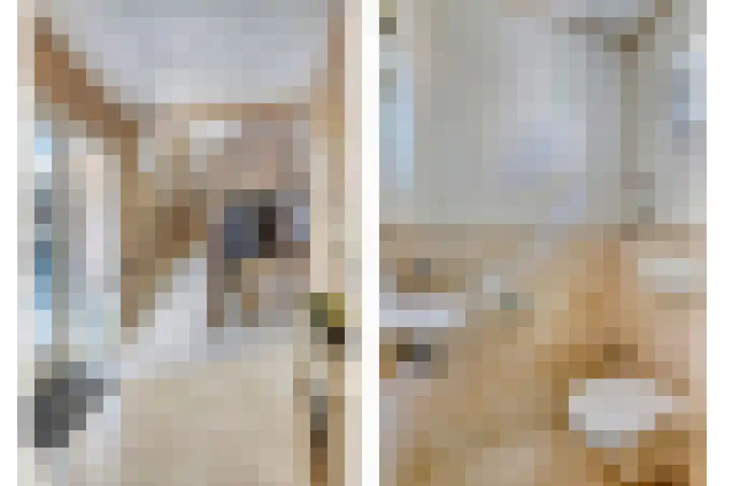 Beukenlaan 15 Scherpenzeel thumbnail 8