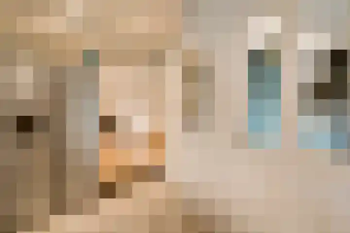 Beukenlaan 15 Sint Odiliënberg thumbnail 11