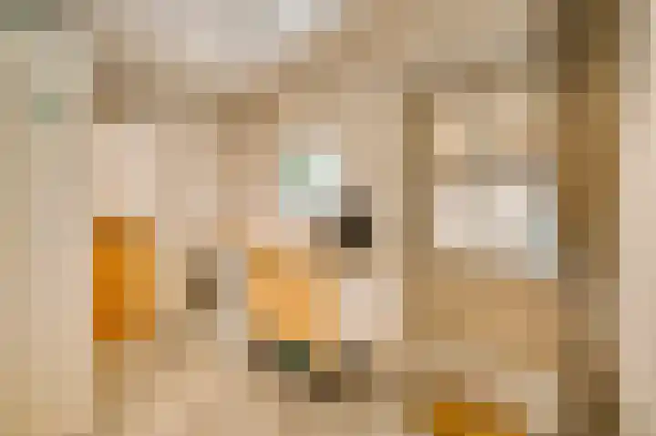 Beukenlaan 15 Sint Odiliënberg thumbnail 12