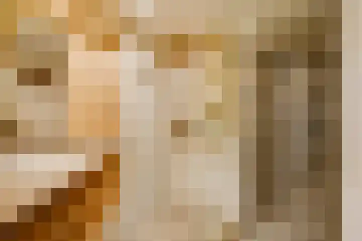 Beukenlaan 15 Sint Odiliënberg thumbnail 13