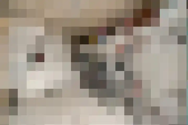 Beukenlaan 15 Sint Odiliënberg thumbnail 14