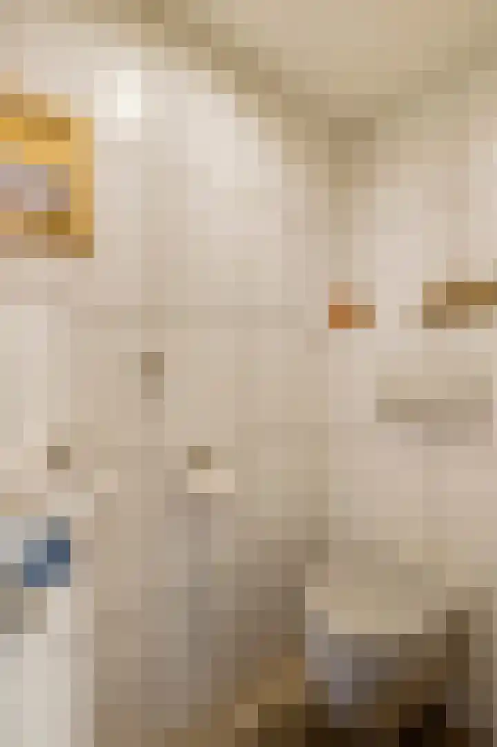 Beukenlaan 15 Sint Odiliënberg thumbnail 15