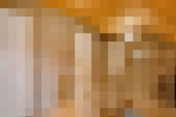 Beukenlaan 15 Sint Odiliënberg thumbnail 17