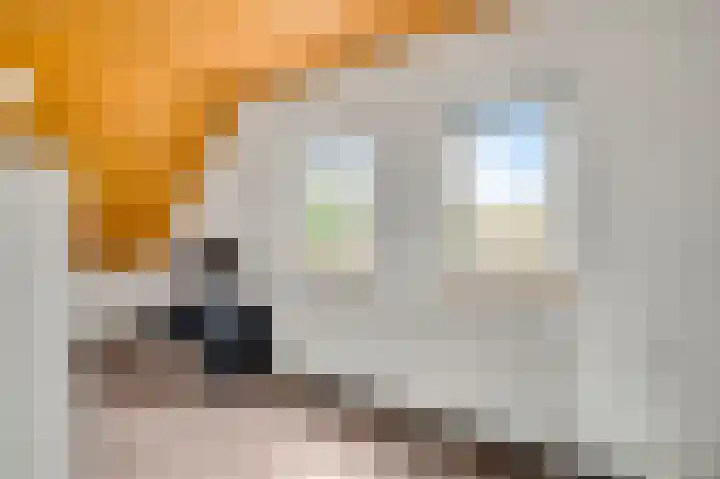 Beukenlaan 15 Sint Odiliënberg thumbnail 21