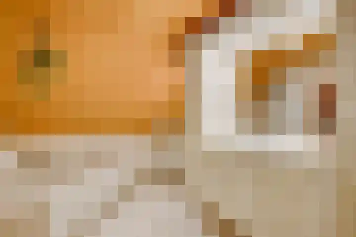 Beukenlaan 15 Sint Odiliënberg thumbnail 26