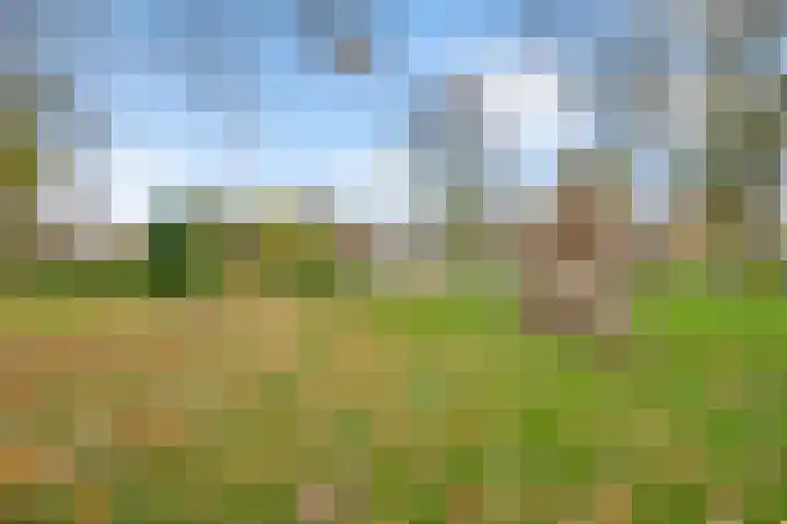 Beukenlaan 15 Sint Odiliënberg thumbnail 34