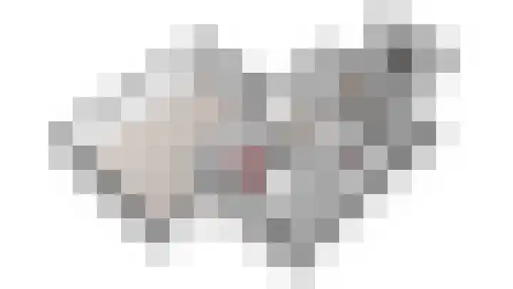 Beukenlaan 15 Sint Odiliënberg thumbnail 40