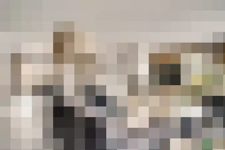 Beukenlaan 15 Sint Odiliënberg thumbnail 5