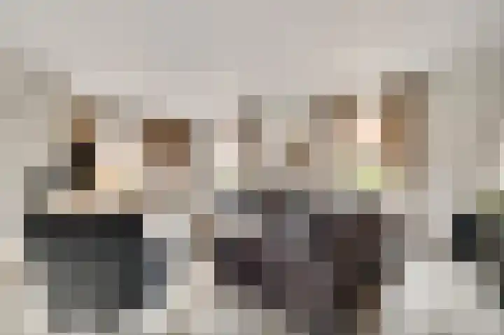 Beukenlaan 15 Sint Odiliënberg thumbnail 6