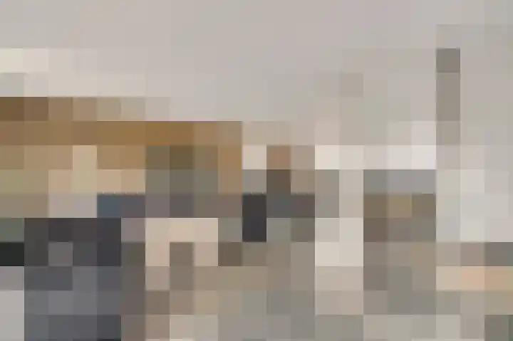 Beukenlaan 15 Sint Odiliënberg thumbnail 7