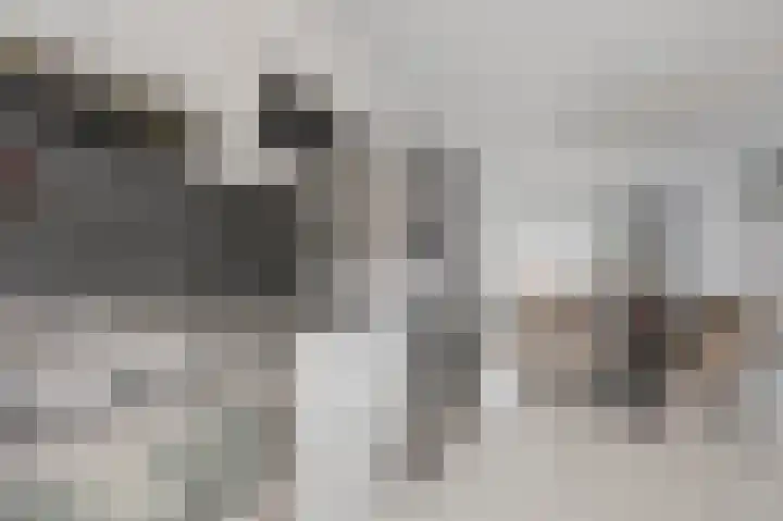 Beukenlaan 15 Woudenberg thumbnail 15