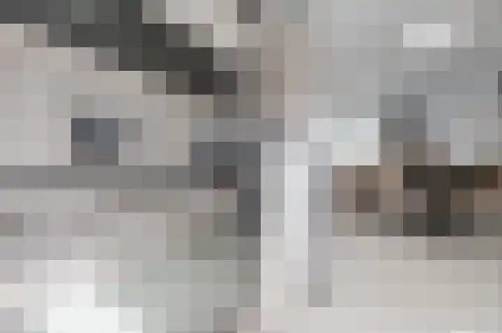 Beukenlaan 15 Woudenberg thumbnail 16