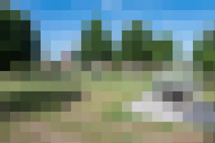 Beukenlaan 15 Woudenberg thumbnail 35