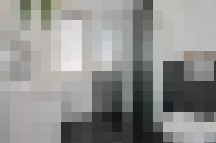 Beukenlaan 15 Woudenberg thumbnail 4