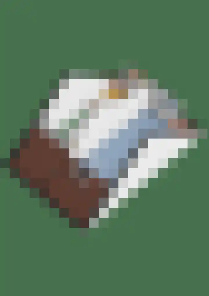Beukenlaan 15 Woudenberg thumbnail 42