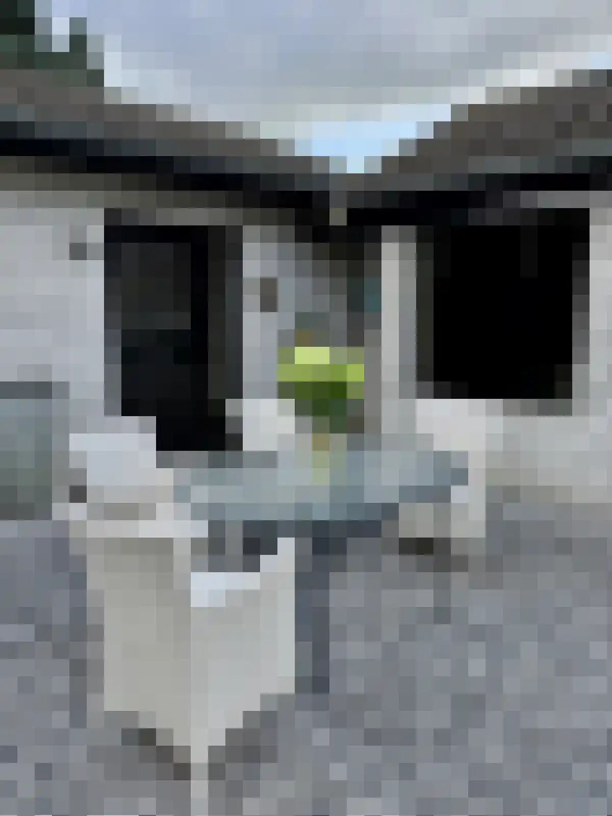 Beukenlaan 16 Odiliapeel thumbnail 6