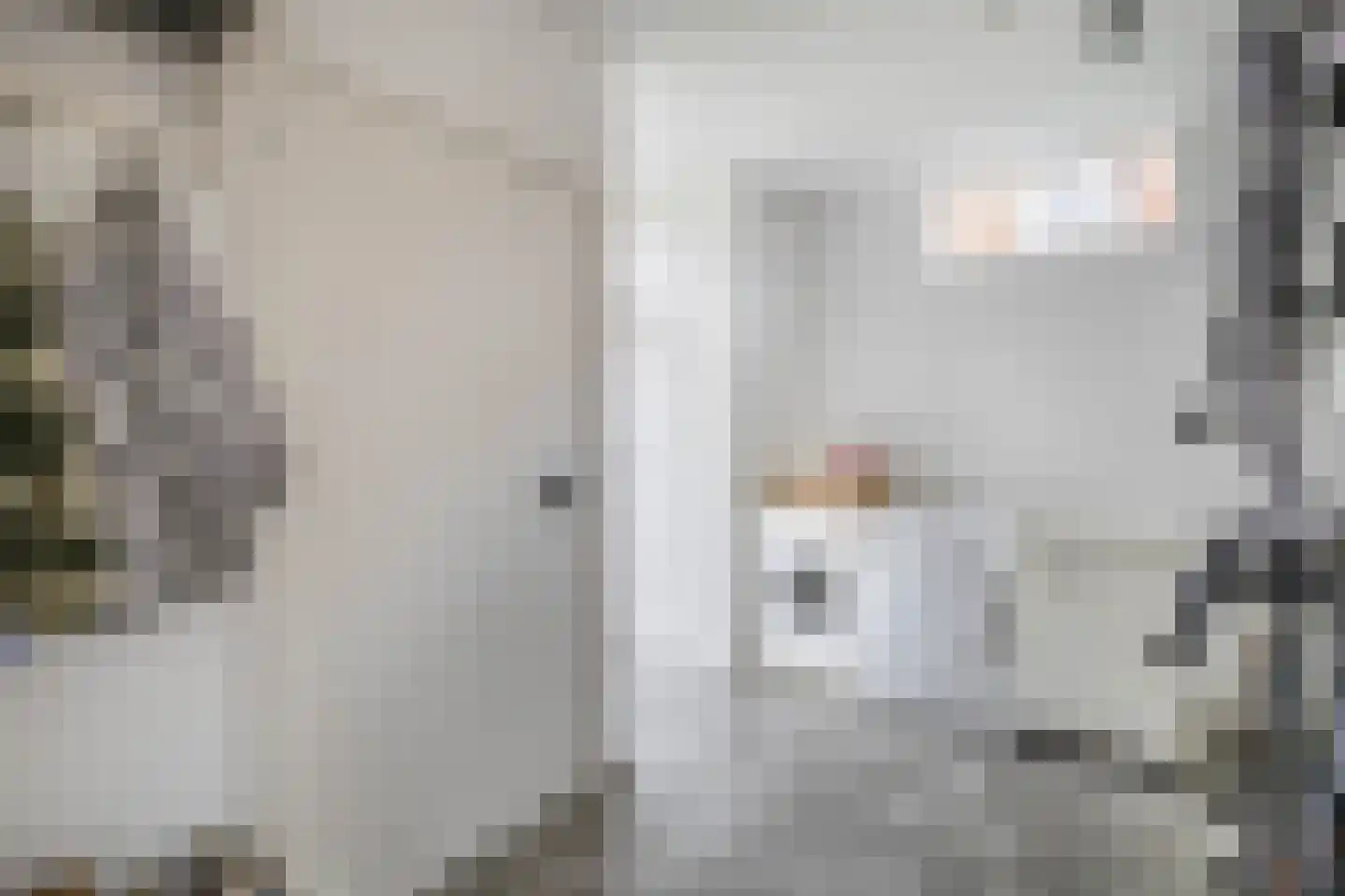 Beukenlaan 16 Oosterzee thumbnail 18