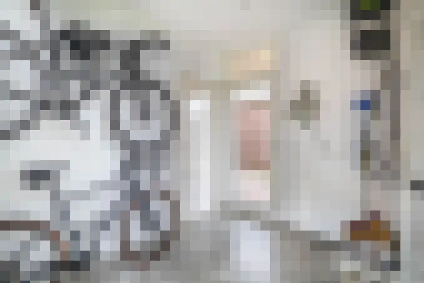 Beukenlaan 16 Oosterzee thumbnail 19