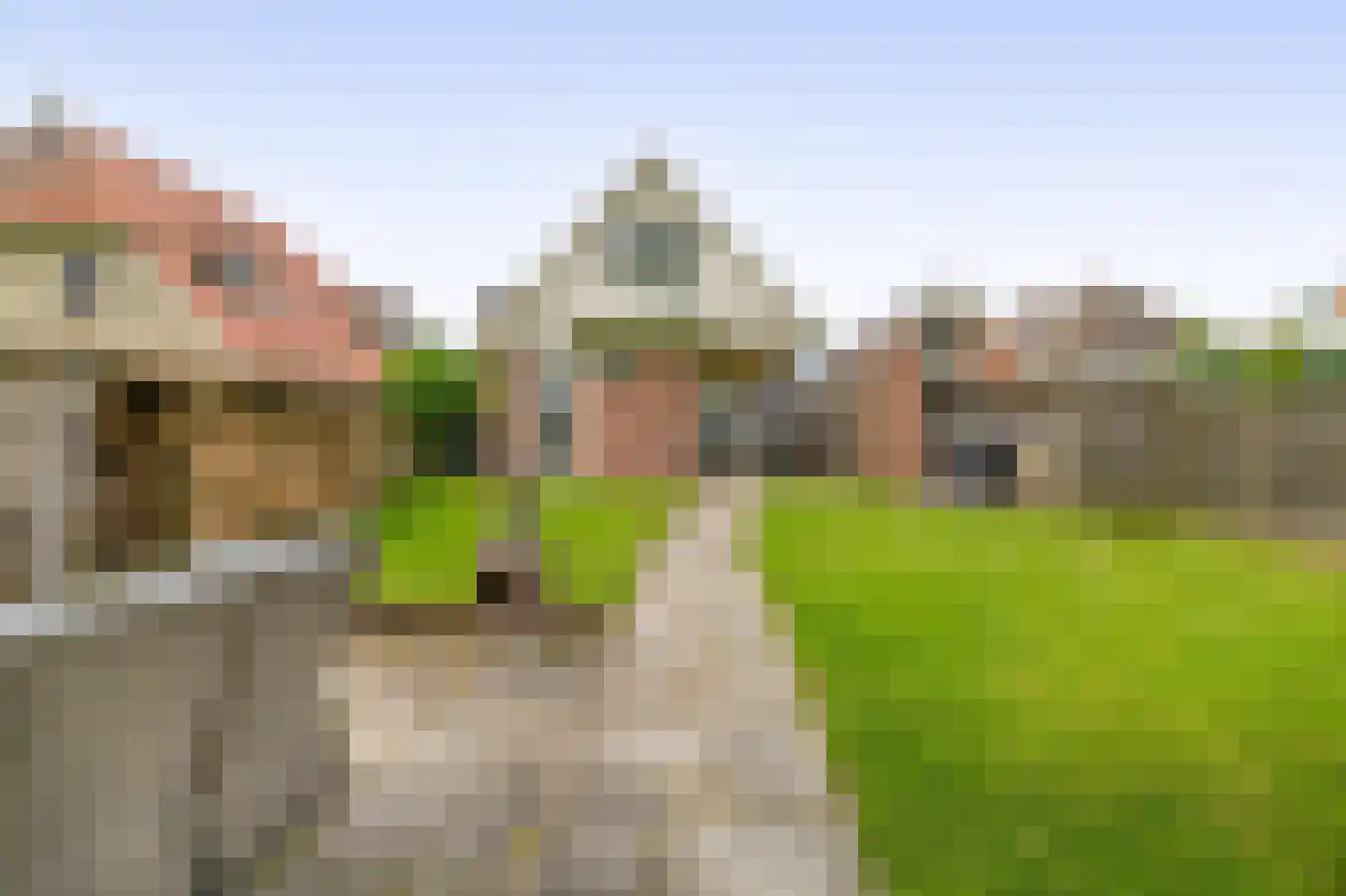Beukenlaan 16 Oosterzee thumbnail 20