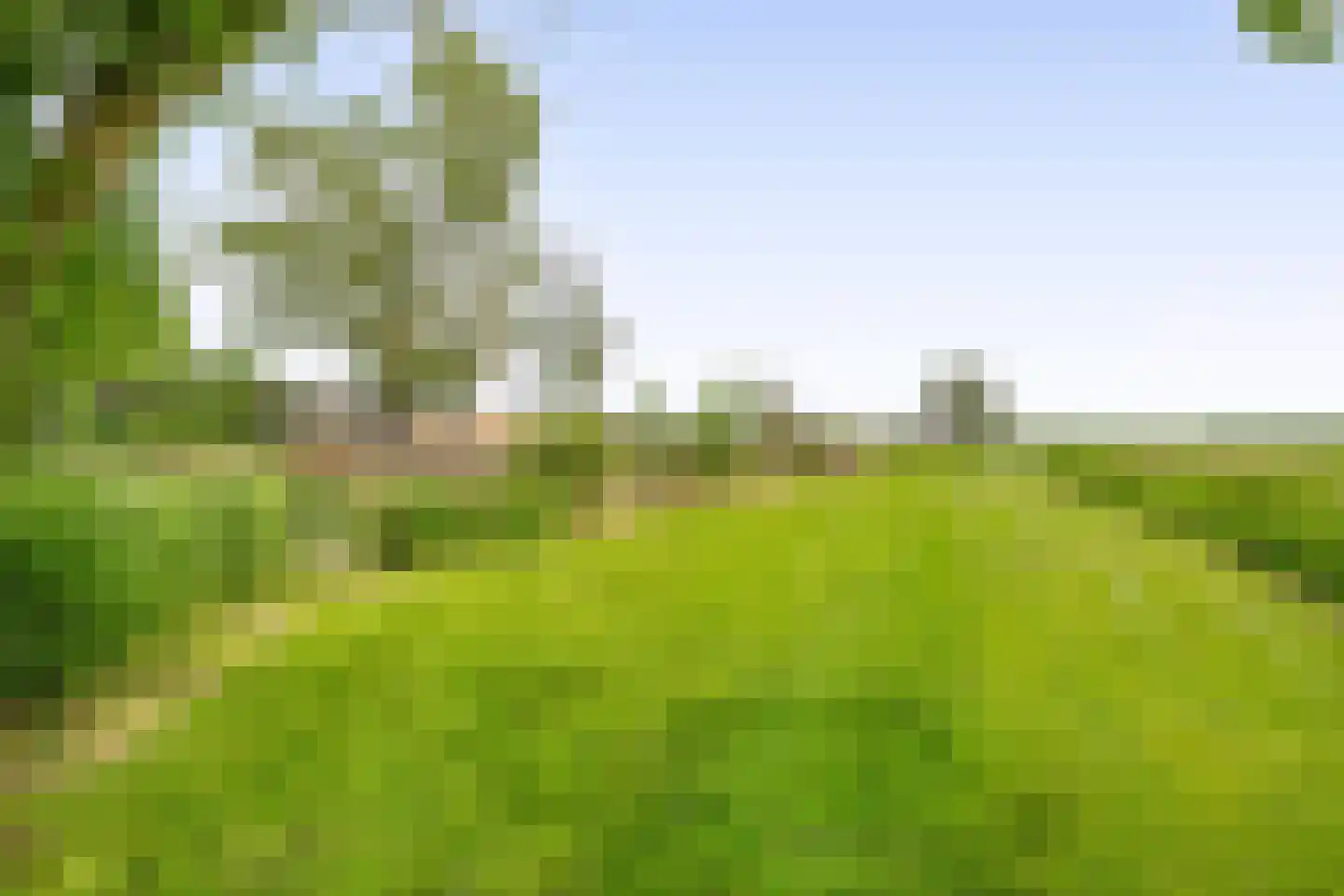 Beukenlaan 16 Oosterzee thumbnail 26