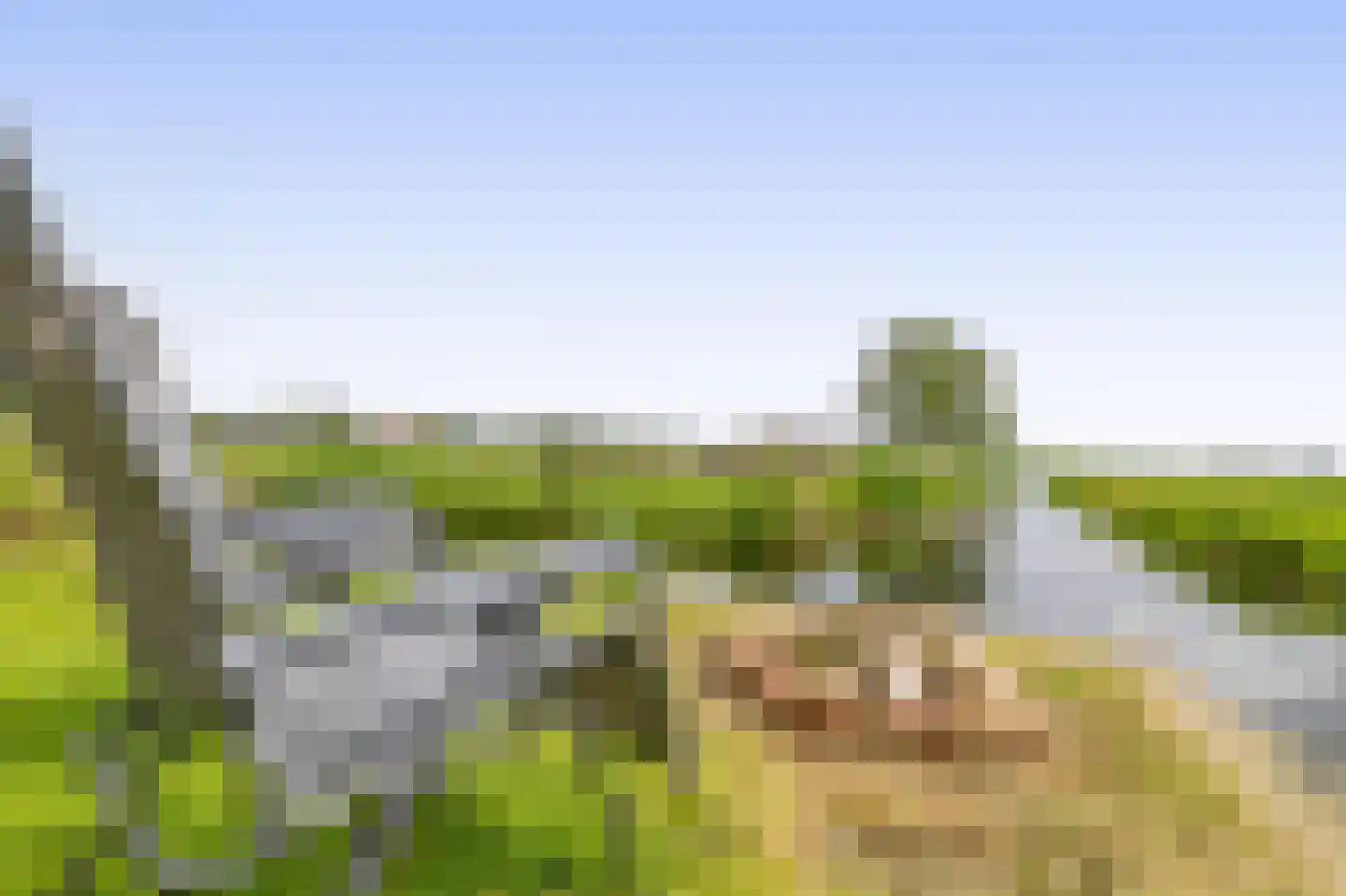 Beukenlaan 16 Oosterzee thumbnail 28