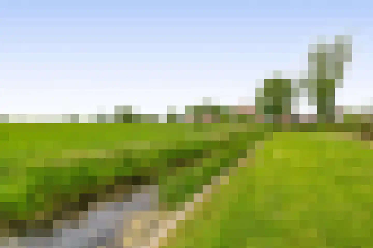 Beukenlaan 16 Oosterzee thumbnail 29
