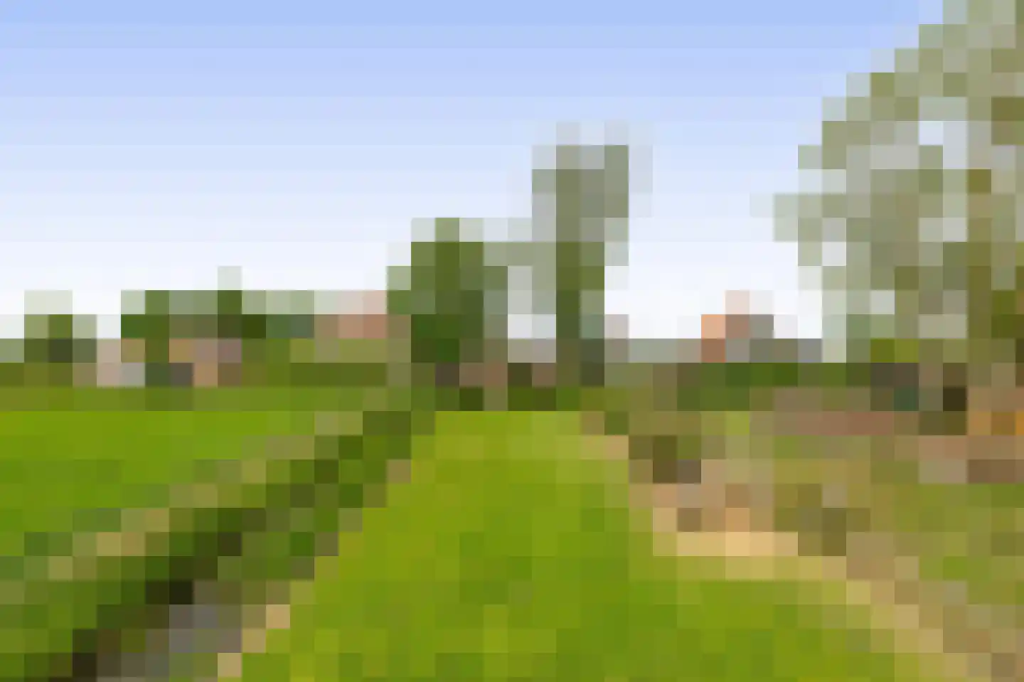 Beukenlaan 16 Oosterzee thumbnail 31
