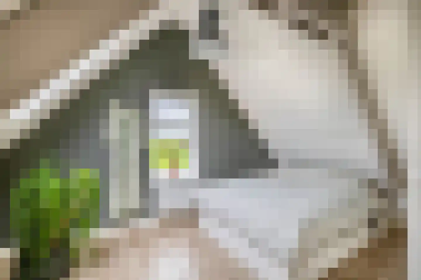 Beukenlaan 16 Oosterzee thumbnail 35