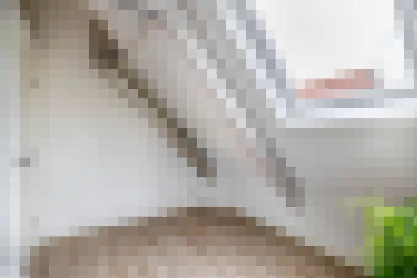 Beukenlaan 16 Oosterzee thumbnail 36